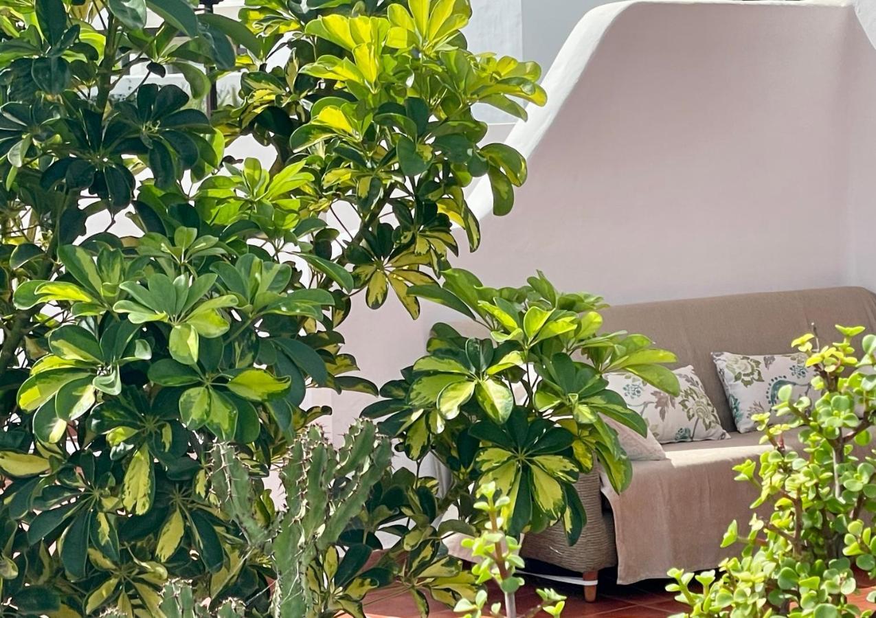 Casa Bella Vista Frente Al Mar Y Piscina Natural. チャルコ・デル・パロ エクステリア 写真